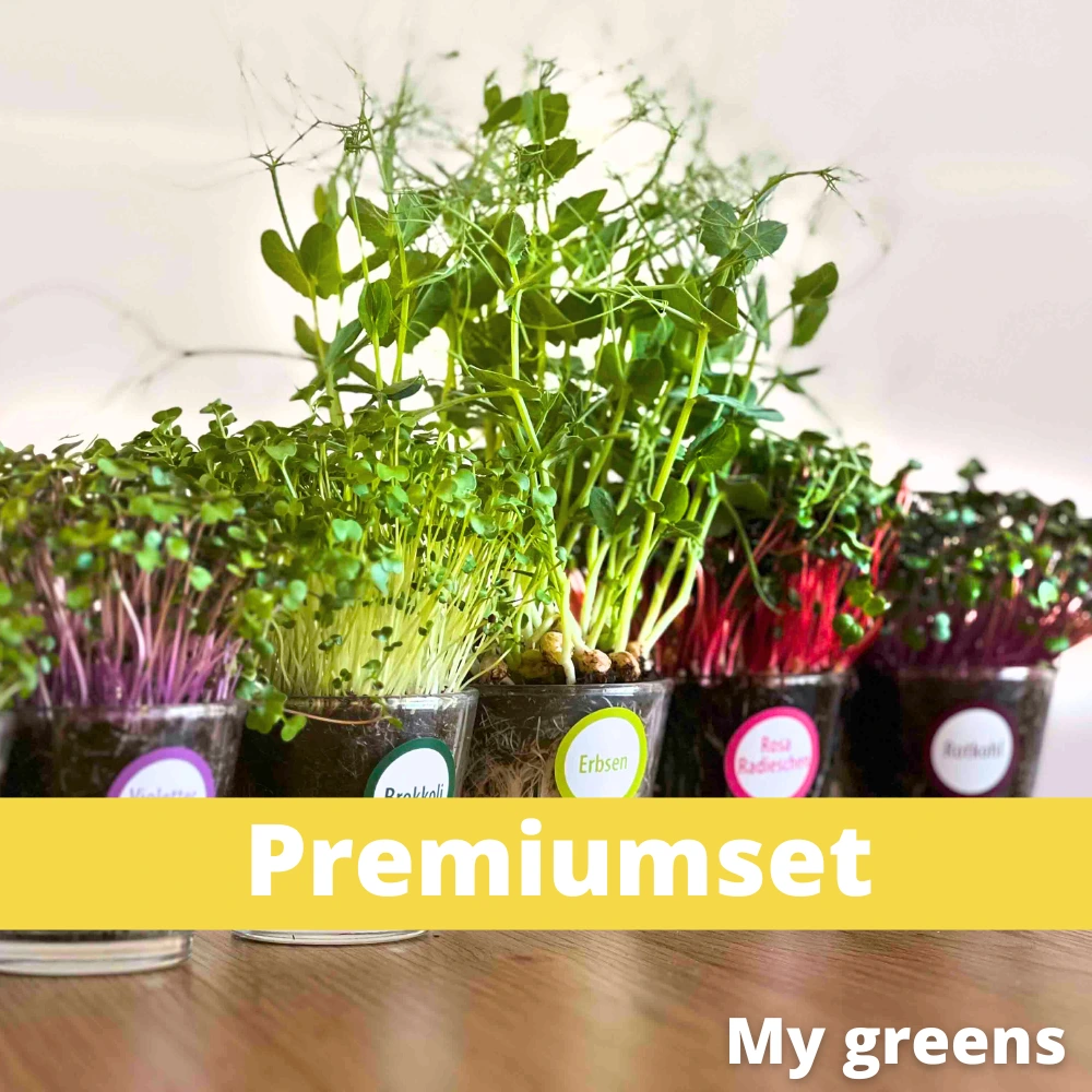 Premium-Mikrogreens-Set