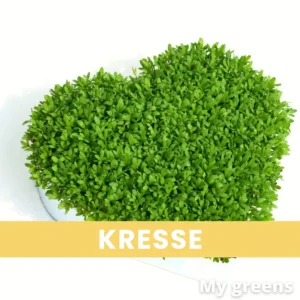 Kresse Mikrogreens Samen 40g